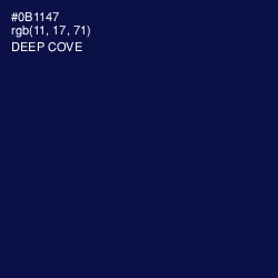 #0B1147 - Deep Cove Color Image